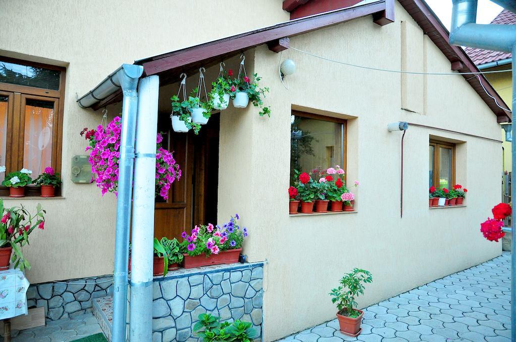 Casa Maria Hotel Gura Humorului Exterior photo